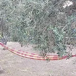 Holiday home ακροδεα *
