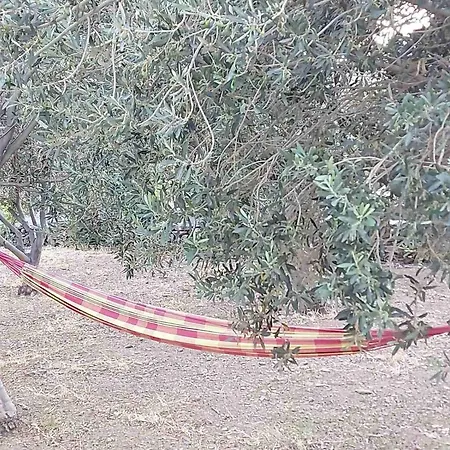 Casa vacanze ακροδεα *