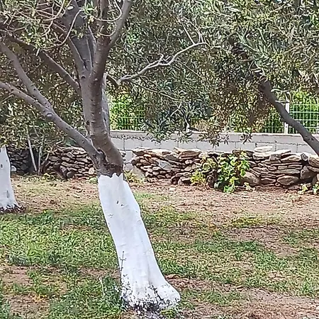 ακροδεα Ano Gavrio